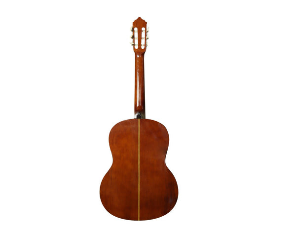 Flight 39" Classical Acoustic Guitar C100