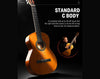 Donner 39" Classical Acoustic Guitar Beginner Kit DCG-162BR