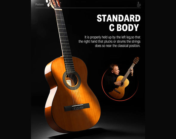 Donner 39" Classical Acoustic Guitar Beginner Kit DCG-162BR