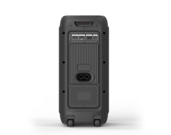 EDEN 80W RMS Portable Bluetooth Karaoke Speaker Dual Wireless Microphones ED-819