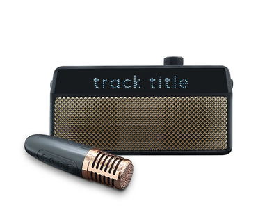 Portable Bluetooth Karaoke Speaker with Wireless Microphone PD18