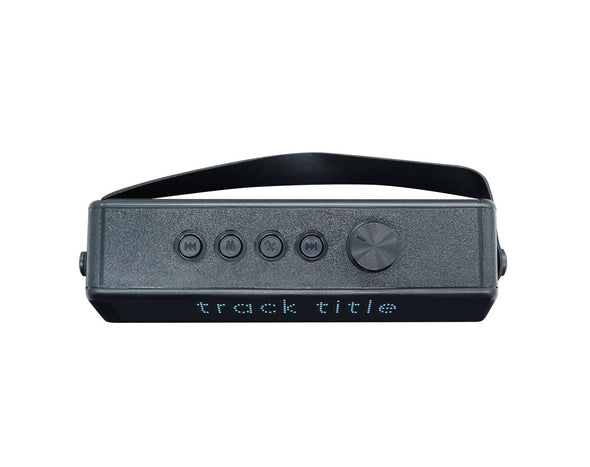 Portable Bluetooth Karaoke Speaker with Wireless Microphone PD18