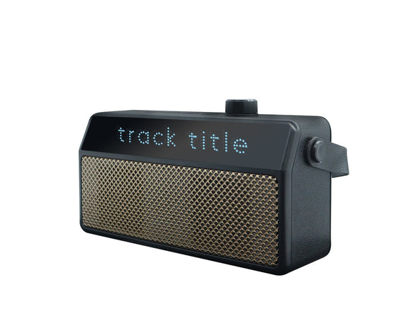Portable Bluetooth Karaoke Speaker with Wireless Microphone PD18