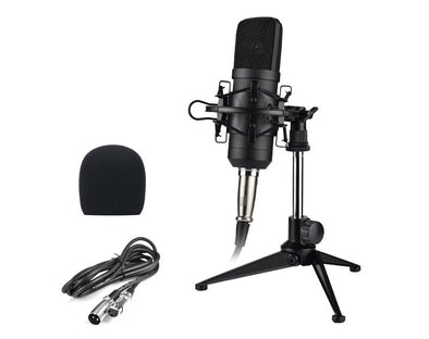 Precision Audio Professional USB Condenser Microphone TMS800 