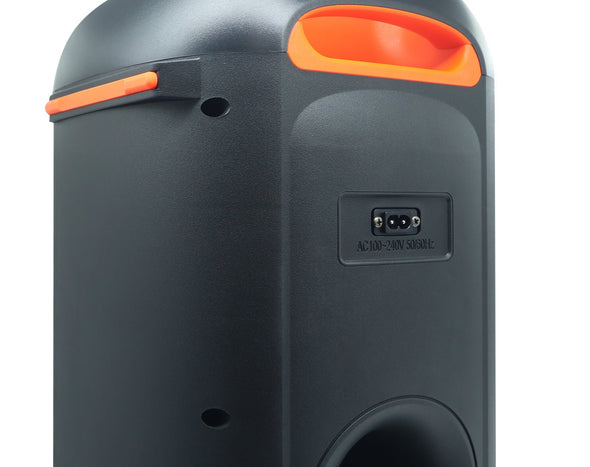 SAYS Portable Bluetooth Karaoke Speaker with Wireless Microphone TSI-80WCMB