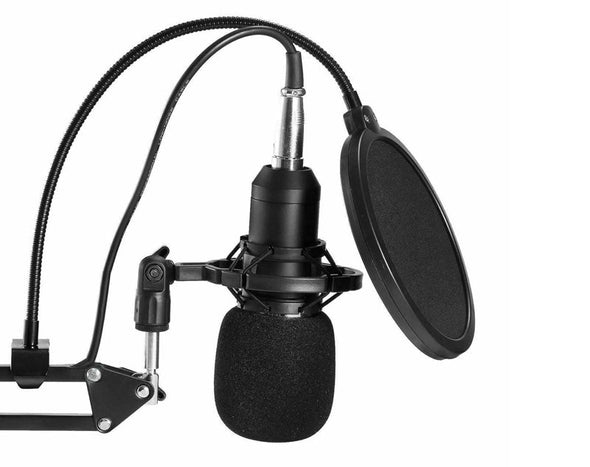 Studio Condenser Microphone Kit Boom Arm Pop Filter Podcast Recording WM800 
